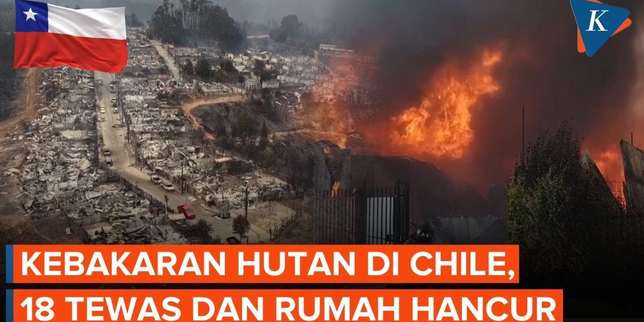 Situasi Darurat Di Chile Akibat Kebakaran Hutan, 18 Tewas