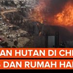 Situasi Darurat Di Chile Akibat Kebakaran Hutan, 18 Tewas