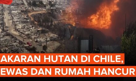 Situasi Darurat Di Chile Akibat Kebakaran Hutan, 18 Tewas