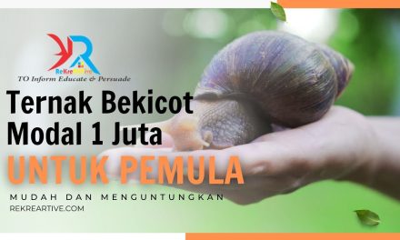 Ternak Bekicot Untuk Lele: Panduan Lengkap Dan Mudah