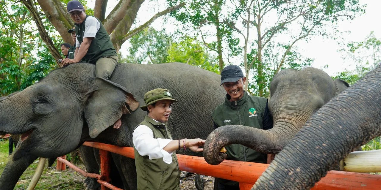 Libur Lebaran 2026, Sejumlah Taman Nasional Ditutup Sementara