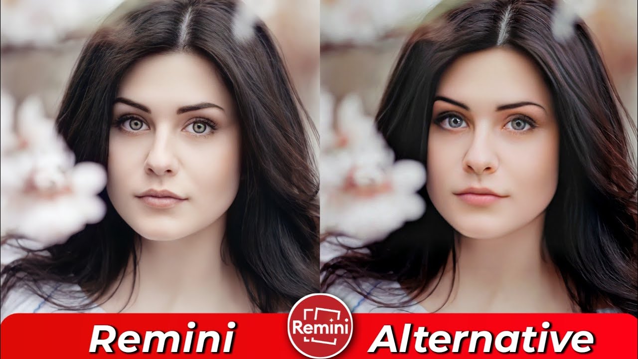 Aplikasi Remini