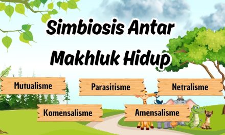 Hubungan Simbiosis Di Lingkungan Biotik, Yuk Kita Bahas