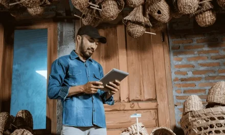 Digitalisasi Layanan Keuangan Mikro: Untuk UMKM Di Pedesaan