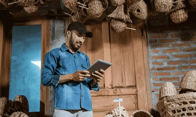 Digitalisasi Layanan Keuangan Mikro: Untuk UMKM Di Pedesaan