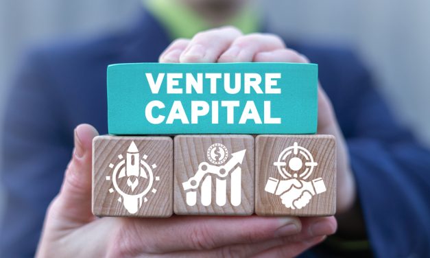 Peran Modal Ventura Dalam Membantu Pertumbuhan Bisnis Digital